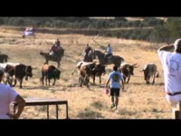 /album/fotogaleria/encierro-20del-20campo-1-png/